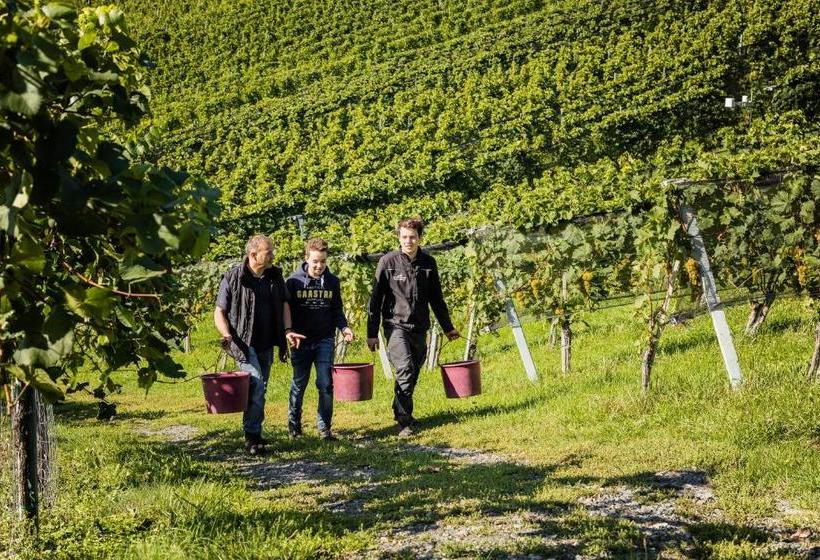 فندق Weingut Tschermonegg