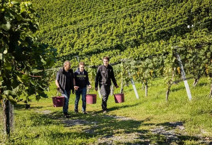Hotel Weingut Tschermonegg