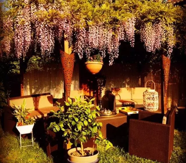 Majatalo Domaine La Fontaine Du Mont