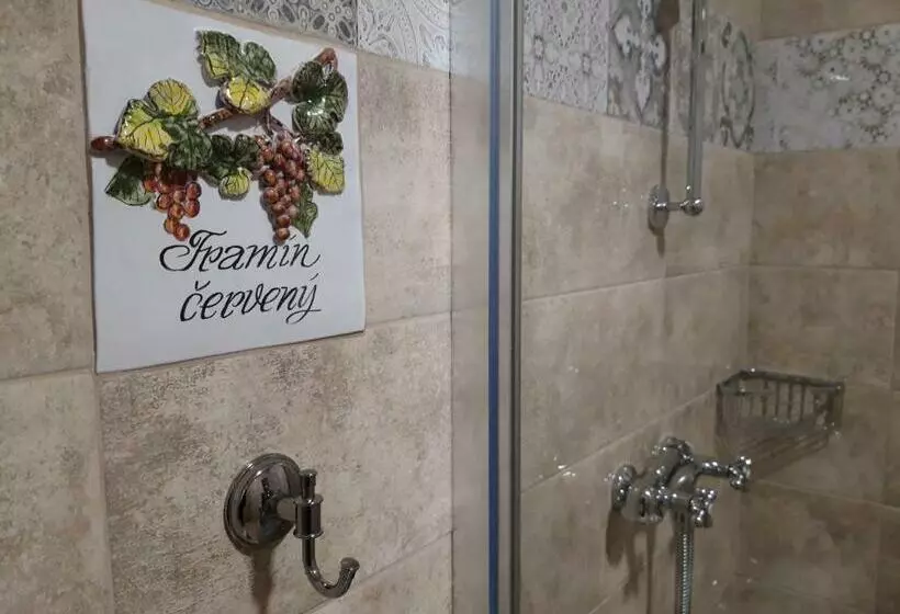 ペンション čičina Tvrdonice Penzion, Restaurace, Vinný Sklep