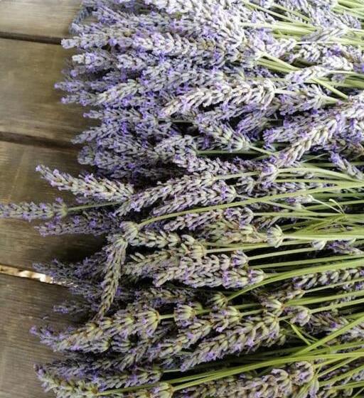 Pensión La Bastide De Sauvetas