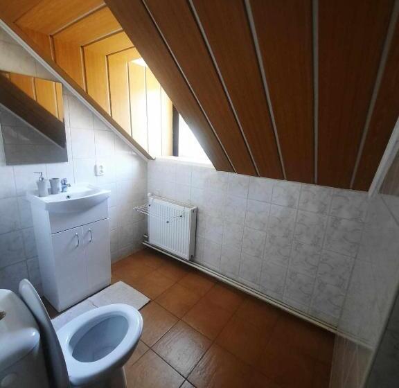 Пансион Penzion A Restaurace Windows