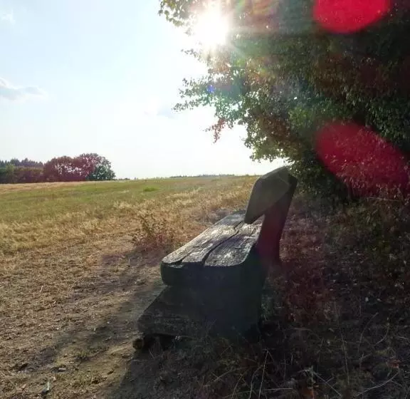 ペンション Prinzfriedrichaugust Baude