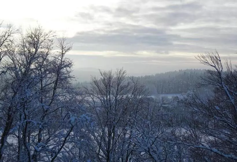 ペンション Prinzfriedrichaugust Baude