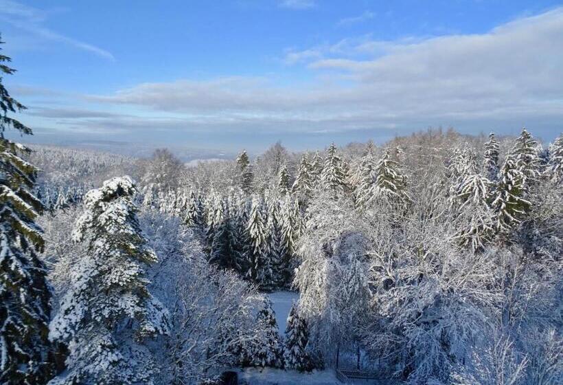 펜션 Prinzfriedrichaugust Baude