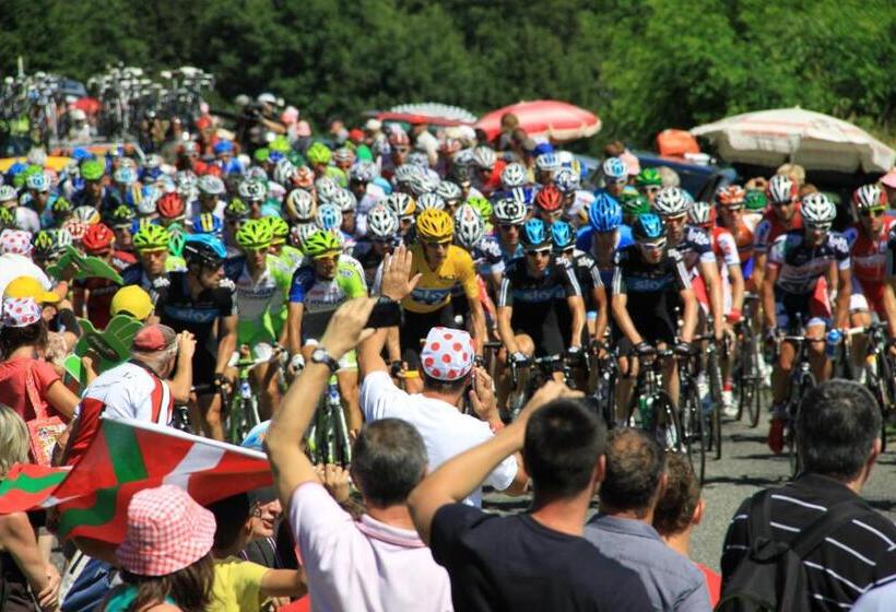 פנסיון Vintage Vert