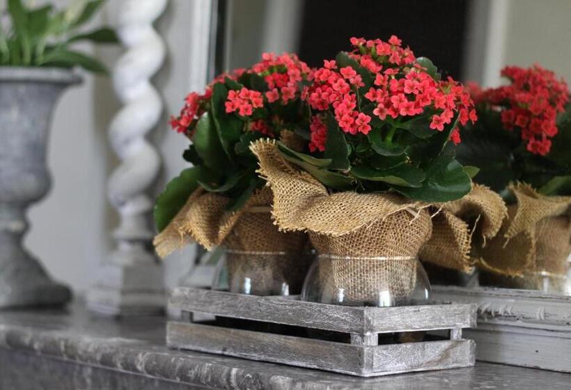 פנסיון Vintage Vert