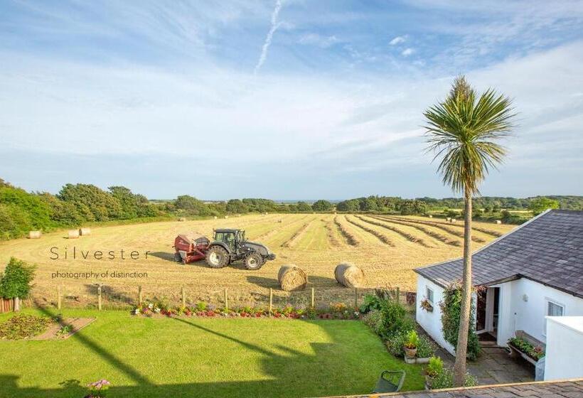 Ballavere Cottage B&b