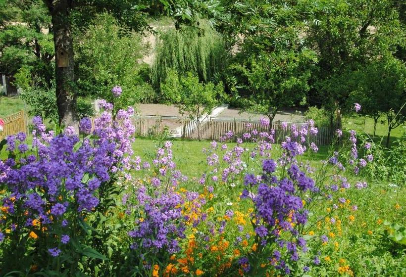 B&b Culinaire La Mouline   Adults Only