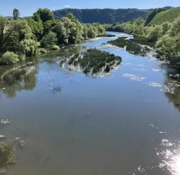 Aamiaismajoitus (B&B) Gästehaus Cantzheim