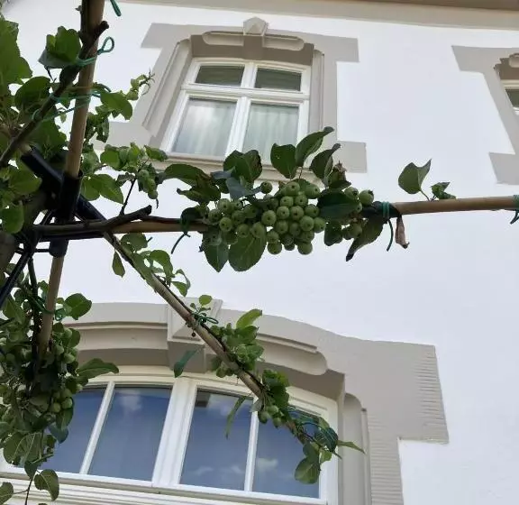 Aamiaismajoitus (B&B) Gästehaus Cantzheim