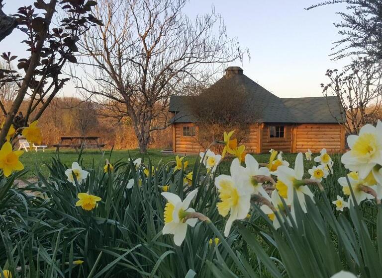 مبيت وإفطار La Bercéenne