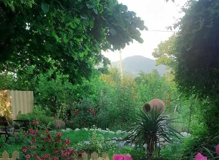 پانسیون Guesthouse Cottage