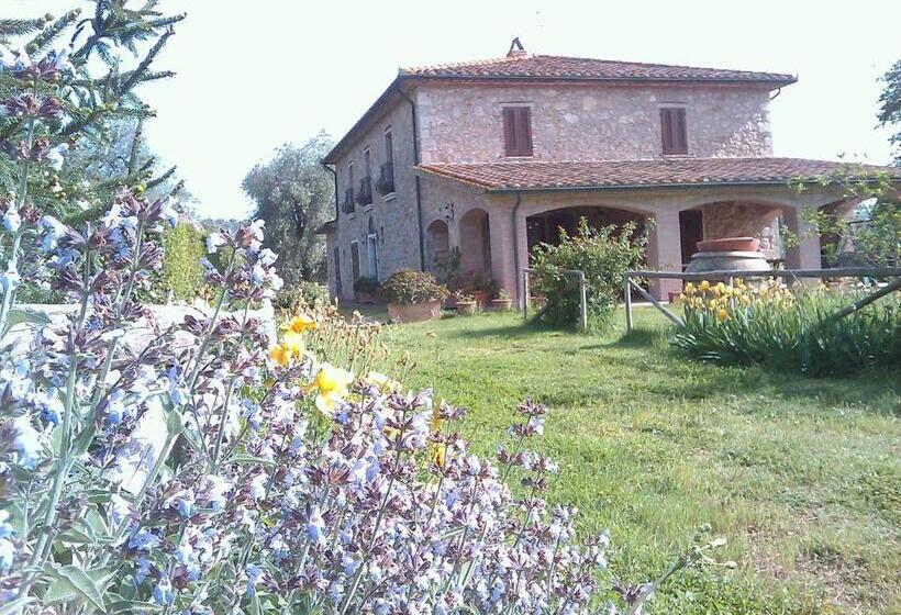 ホテル Agriturismo Il Poggiolo