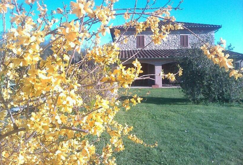 ホテル Agriturismo Il Poggiolo