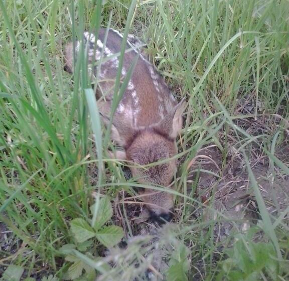 فندق Casa Batlle