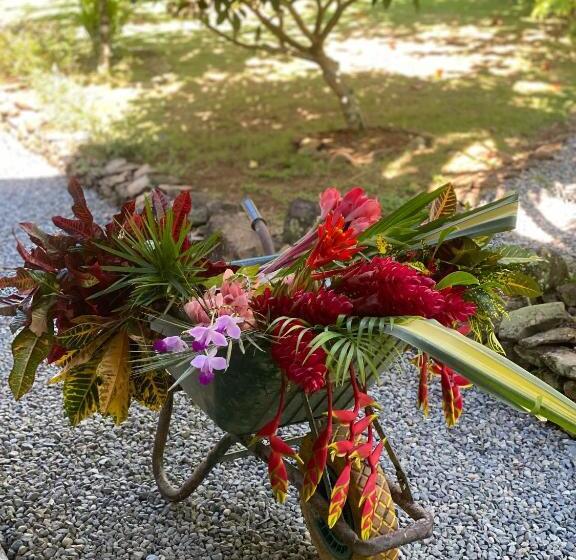 هتل Finca Vela Lodge