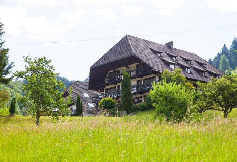 Отель Landhaus Langeck