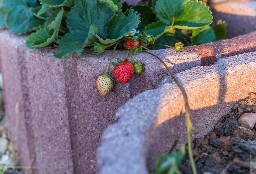호텔 Quintinha Do Casal Ruivo