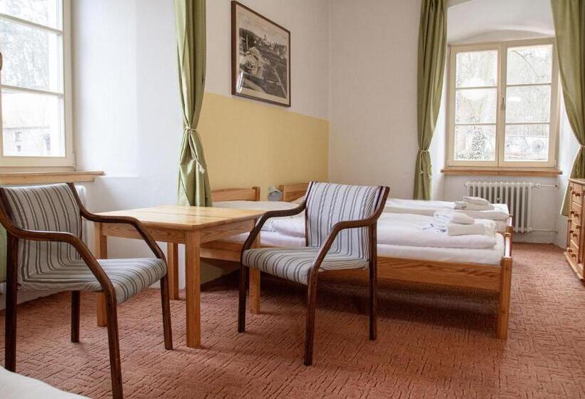 בית מלון כפרי Tynec