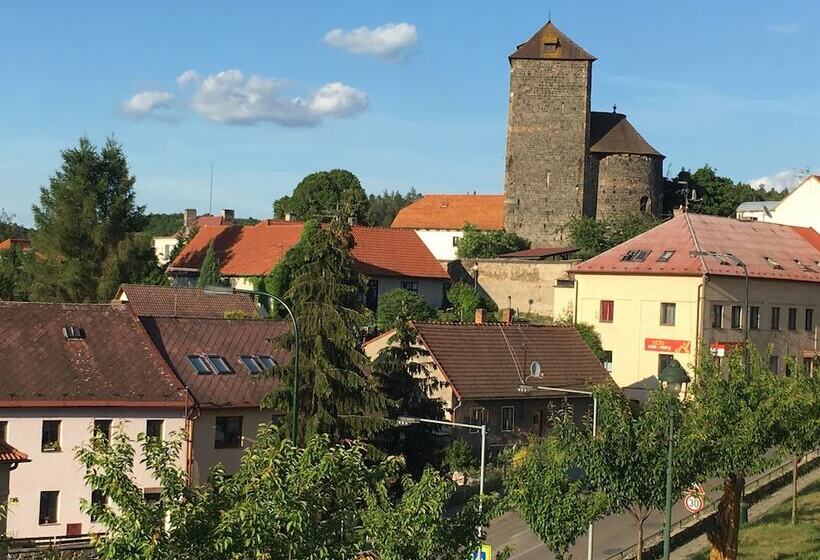 בית מלון כפרי Tynec