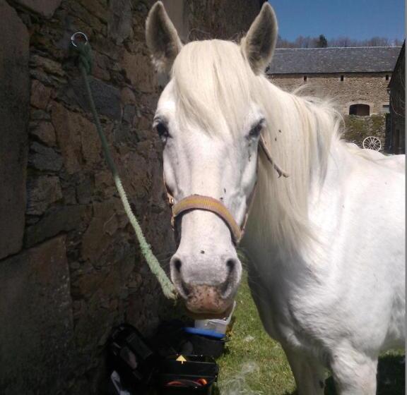 ペンション Domaine D Angel Berg