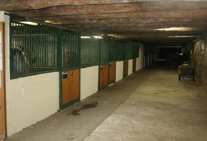 ペンション Domaine D Angel Berg