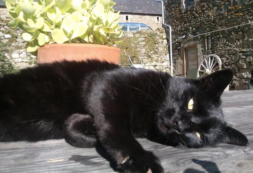 ペンション Domaine D Angel Berg