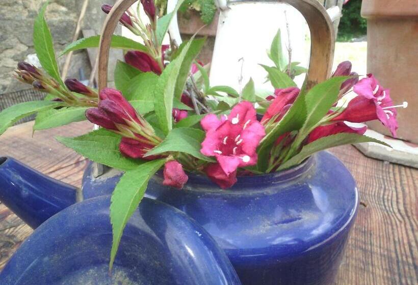 ペンション Domaine D Angel Berg