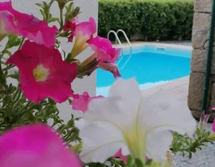 Пансион Casa Do Adro De Parada