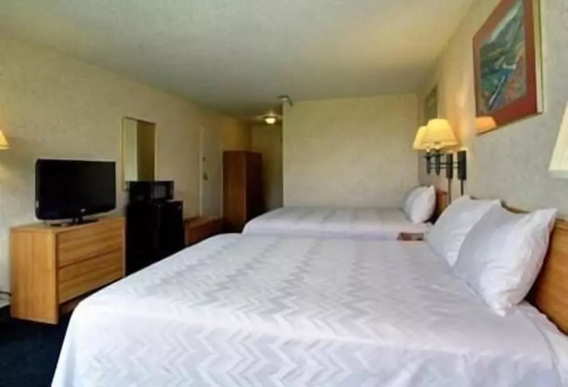 هتل Airport Inn Flint