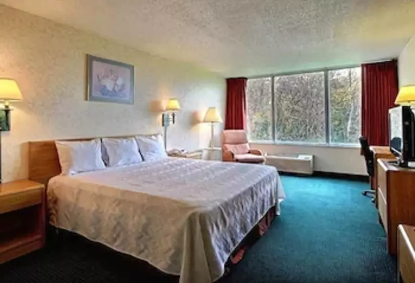 هتل Airport Inn Flint