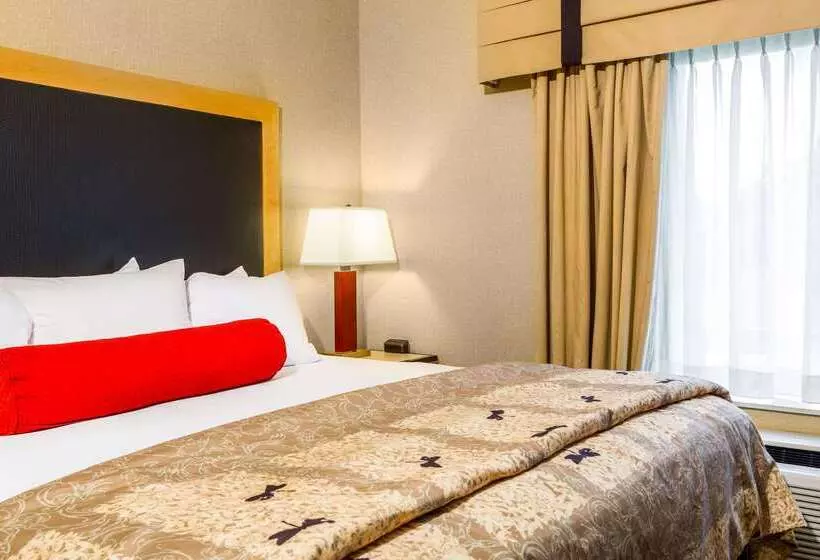 Cambria Hotel Raleigh Durham Airport