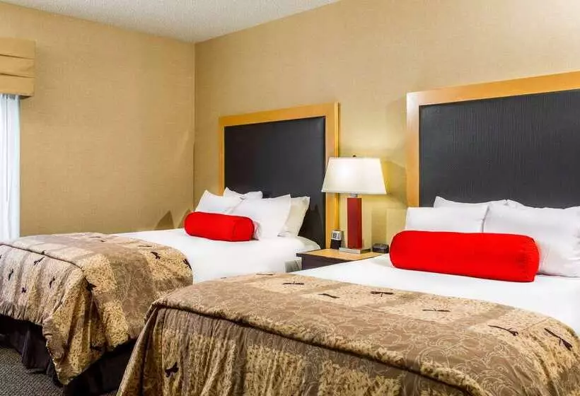 Cambria Hotel Raleigh Durham Airport