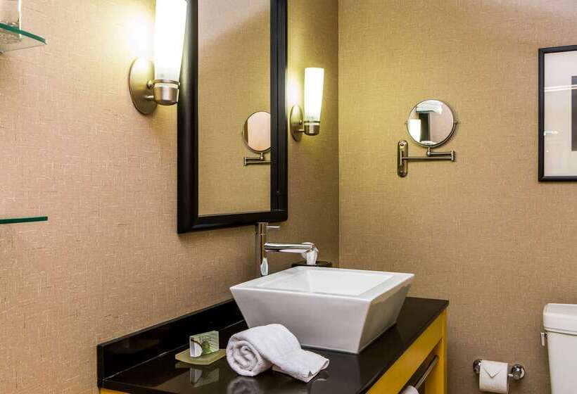 Cambria Hotel Raleigh Durham Airport