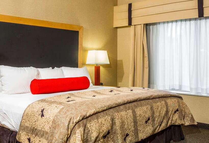 Cambria Hotel Raleigh Durham Airport