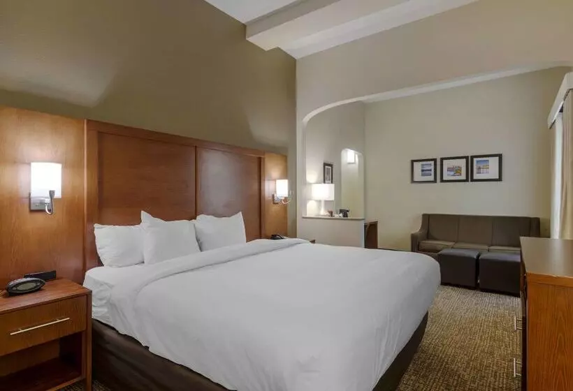 Hotel Comfort Suites Columbus State University Area