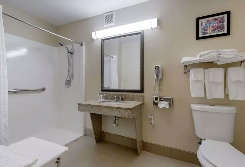 Hotel Comfort Suites Columbus State University Area