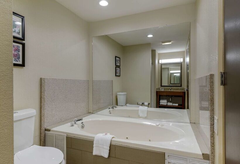 فندق Comfort Suites Columbus State University Area