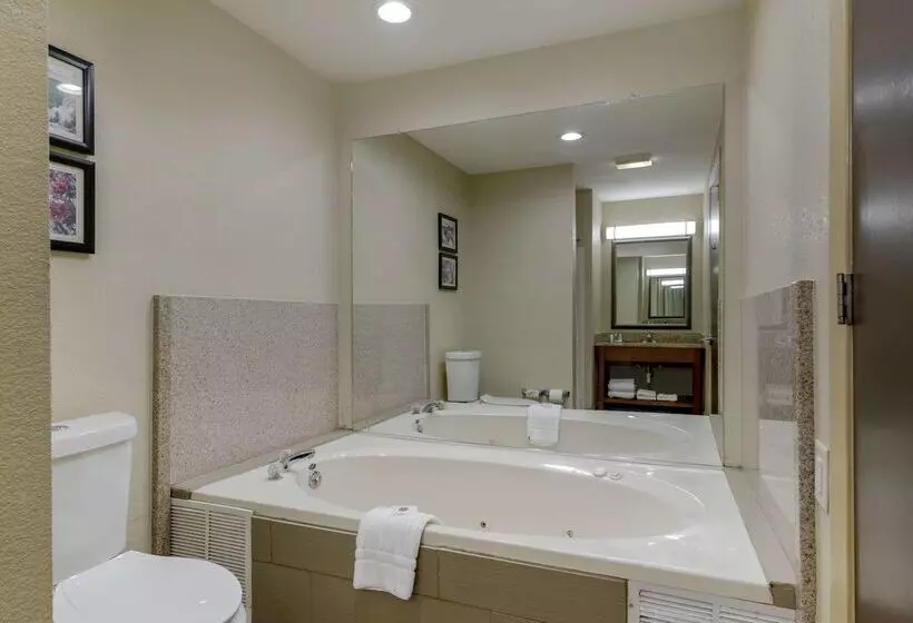 Hotel Comfort Suites Columbus State University Area