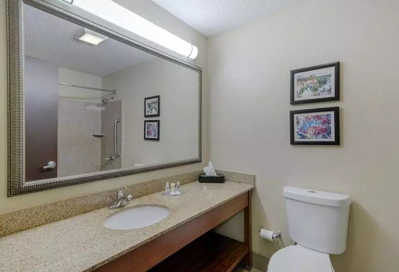 Hotel Comfort Suites Columbus State University Area