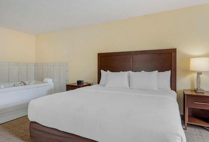 فندق Comfort Suites Lake Geneva East