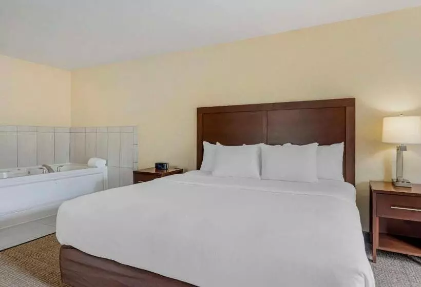 هتل Comfort Suites Lake Geneva East