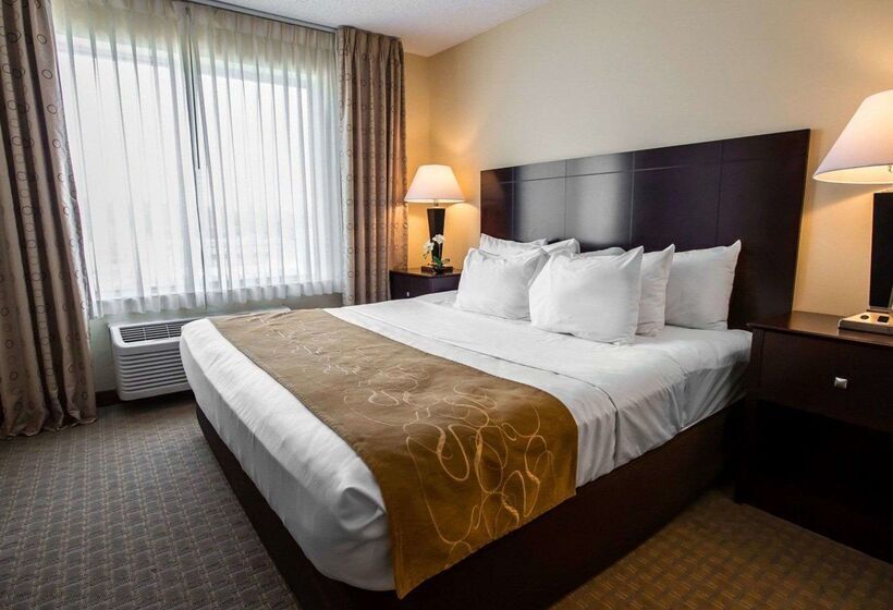 فندق Comfort Suites University Area Notre Damesouth Bend