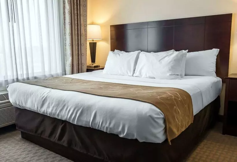 בית מלון כפרי Comfort Suites University Area Notre Damesouth Bend