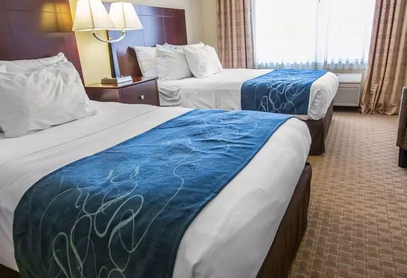 בית מלון כפרי Comfort Suites University Area Notre Damesouth Bend