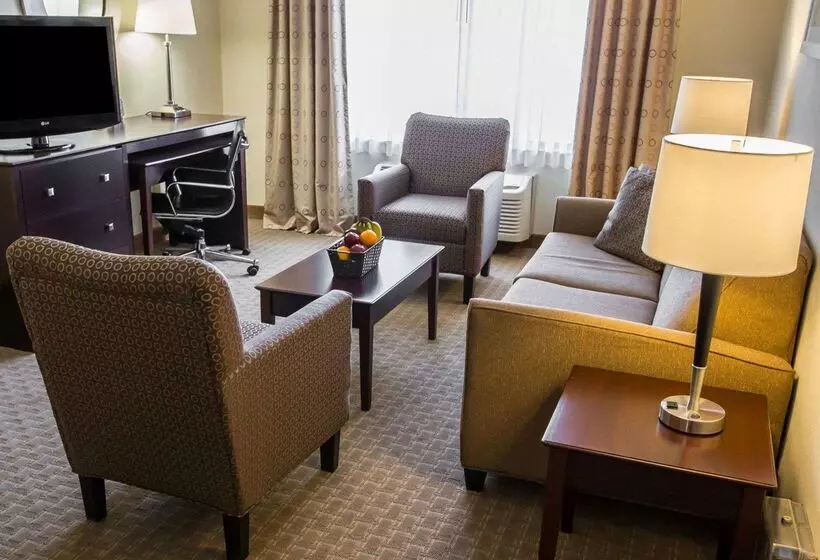 בית מלון כפרי Comfort Suites University Area Notre Damesouth Bend