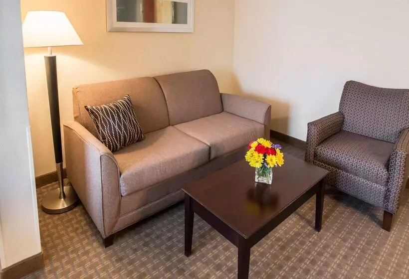 בית מלון כפרי Comfort Suites University Area Notre Damesouth Bend