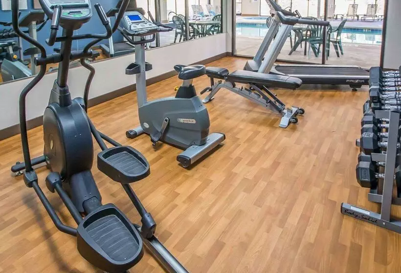 בית מלון כפרי Comfort Suites University Area Notre Damesouth Bend