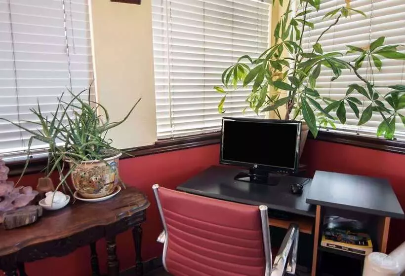 Hotelli Super 8 By Wyndham Albuquerque Downtown